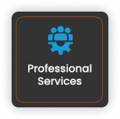 IT Services For professional